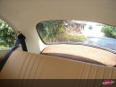 VW Beetle
