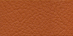 Leather Sample For CA047