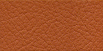 Leather Sample For CA047