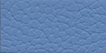 Leather Sample For GP029