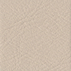 Leather Sample For SF125
